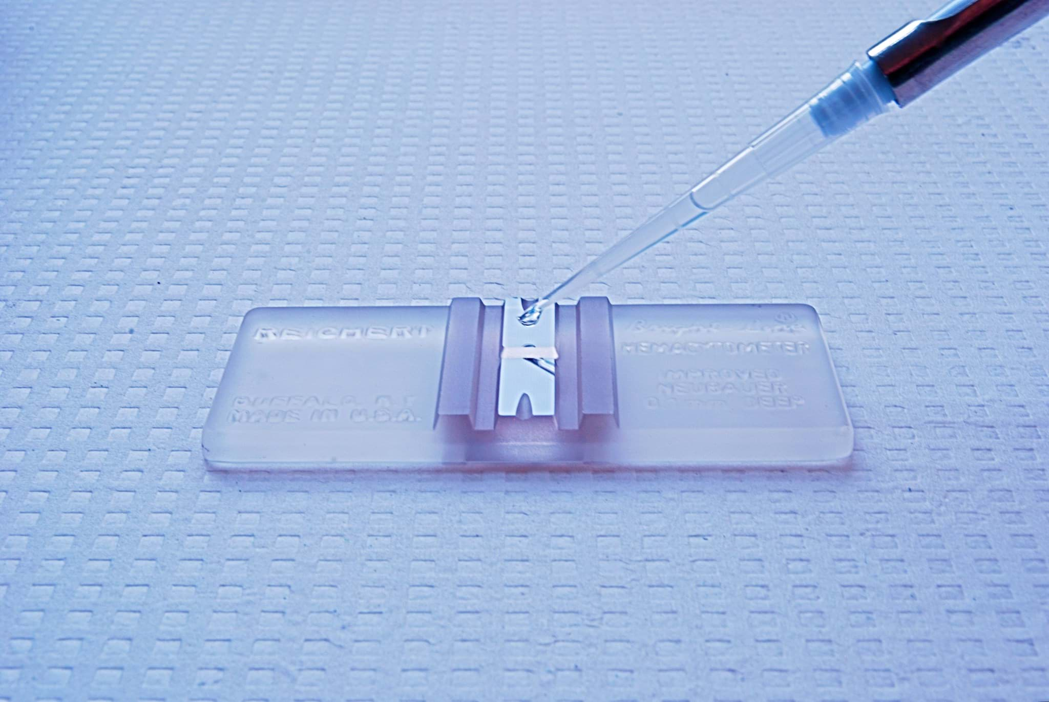 Hemocytometer for cell counting